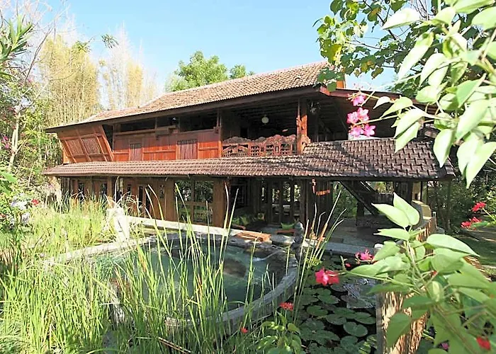 Sari & Pemuteran (Bali)