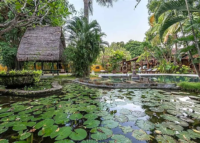 Sari & 3* Pemuteran (Bali)