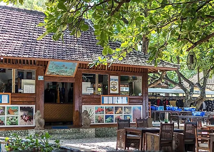 Sari & 3* Pemuteran (Bali)